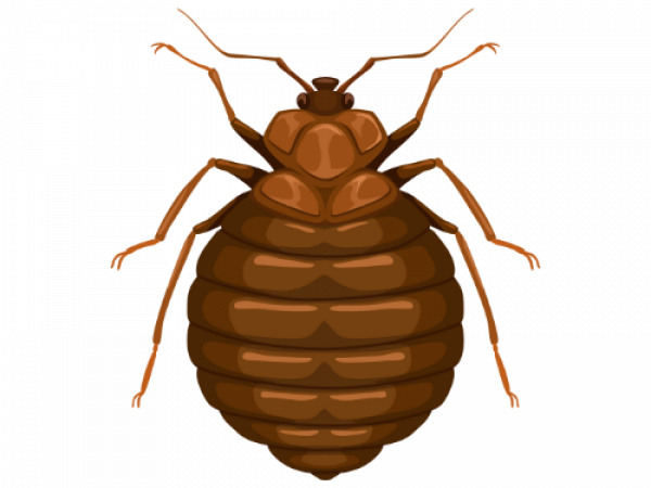 7.png