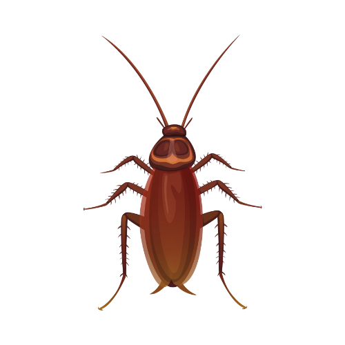 6.png