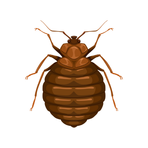 7.png