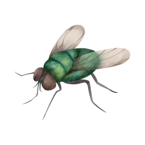 8.png