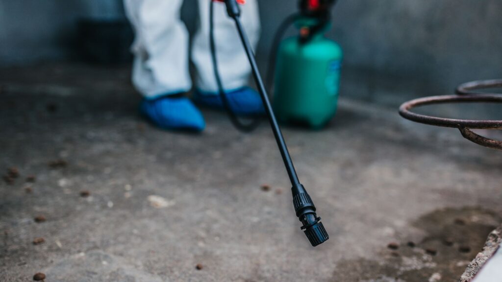 Kammerjäger in Ihrer Nähe – Schnelle Hilfe bei Schädlingsbefall - Schädlingsjäger Düsseldorf - Schädlingsbekämpfung