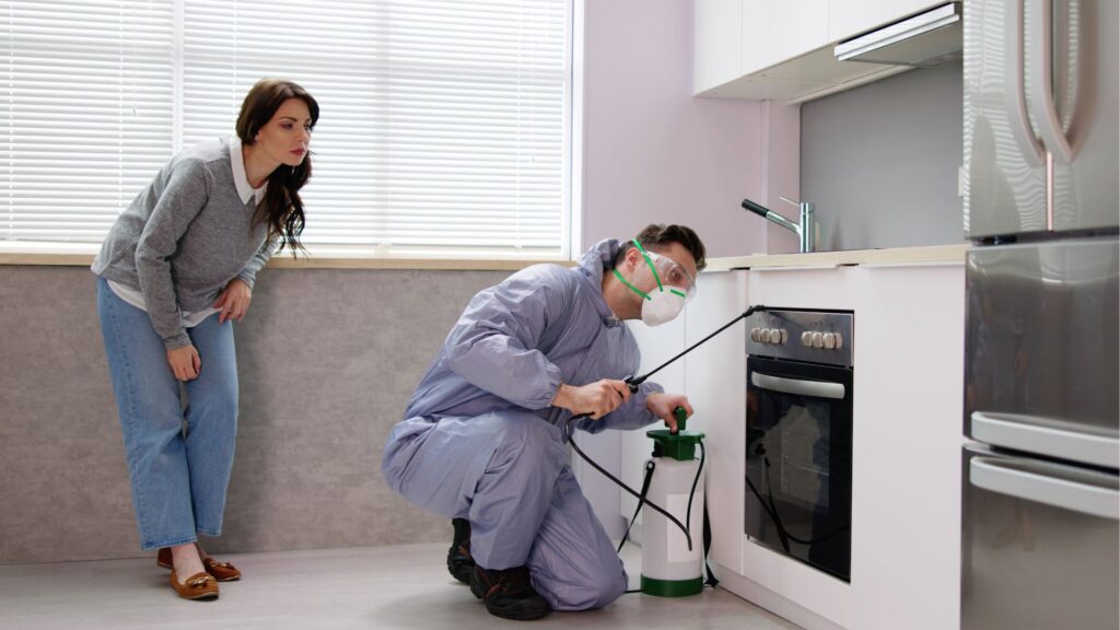 Schädlinge bekämpfen in Düsseldorf Professionelle Schädlingsbekämpfung - Schädlingsjäger - Kammerjäger