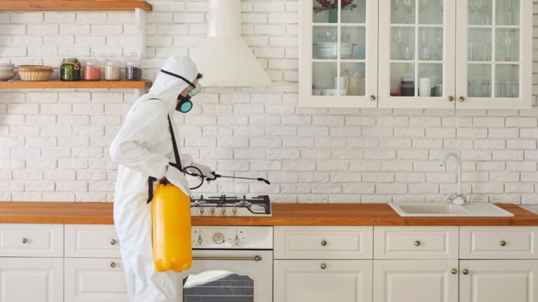 Schädlingsbekämpfung Notdienst Düsseldorf – 24h Hilfe vom Profi Schädlingsjäger Düsseldorf