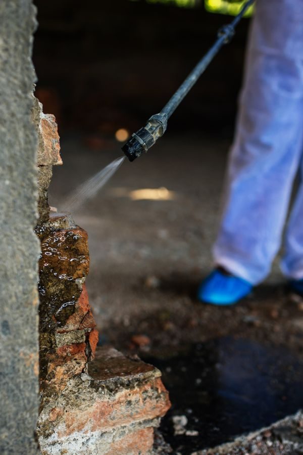 Kammerjäger in Ihrer Nähe – Schnelle Hilfe bei Schädlingsbefall - Schädlingsjäger Düsseldorf - Schädlingsbekämpfung